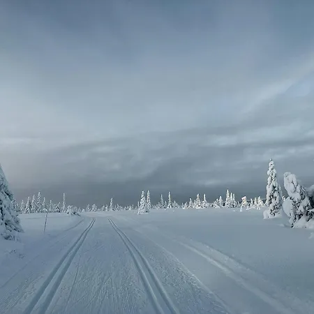 Semesterbostad Modern With Views Of Mountain *