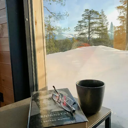 Modern With Views Of Mountain